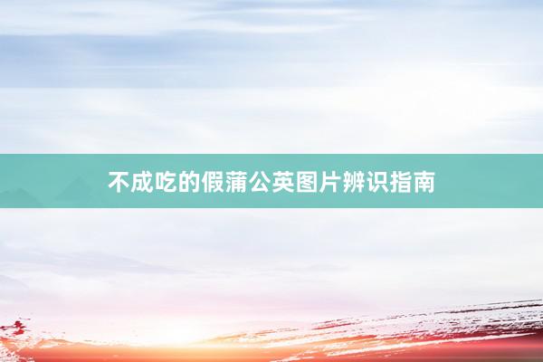 不成吃的假蒲公英图片辨识指南
