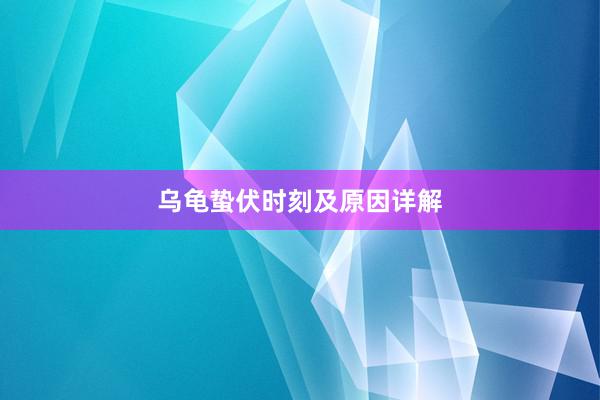 乌龟蛰伏时刻及原因详解