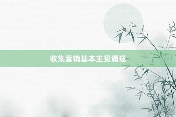 收集营销基本主见涌现
